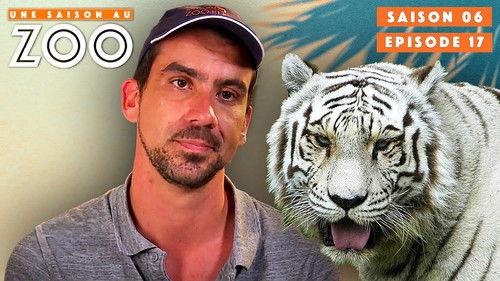 Une saison au zoo Season 6 Episode 17 - Episode 17