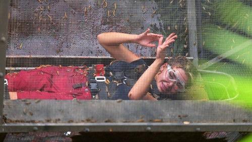 Ich bin ein Star – Holt mich hier raus! Season 17 Episode 6 - Episode 6