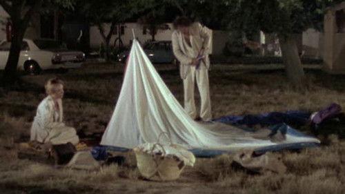 Der ganz normale Wahnsinn Season 1 Episode 8 - Episode 8