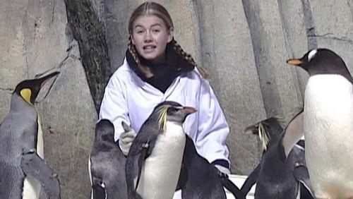 Popular Mechanics for Kids Season 1 Episode 4 - Zoos