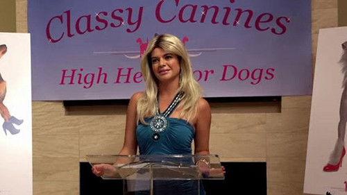 The Hotwives of Orlando Season 1 Episode 1 - Meet the Hotwives