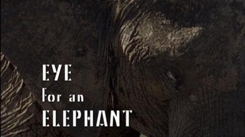 Natural World Season 25 Episode 3 - Eye for an Elephant