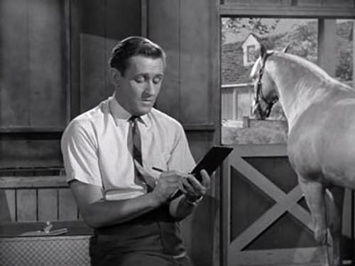 Mister Ed Season 4 Episode 2 - Wilbur Post, Honorary Horse