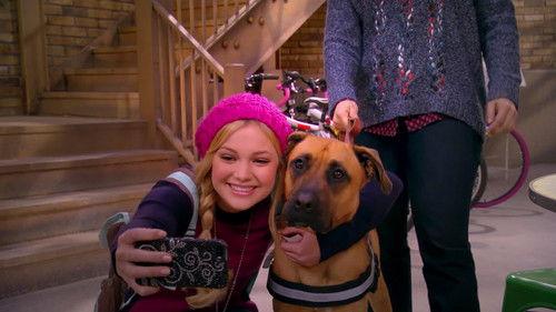 Background image for Lindy Goes to the Dogs!