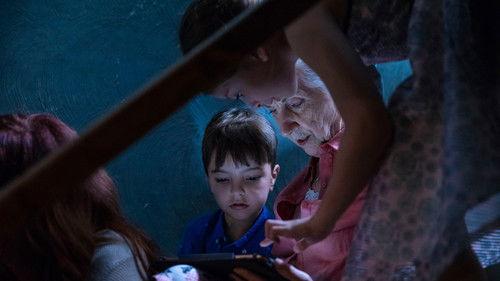 Line-Up Season 1 Episode 13 - Episode 13