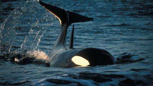 Nature Season 24 Episode 1 - Killers in Eden