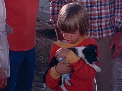 Background image for Little Boy Lost