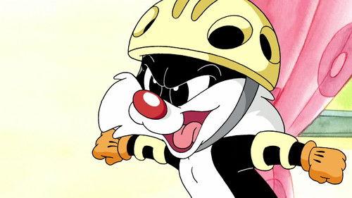 Baby Looney Tunes Season 1 Episode 47 - New Cat in Town