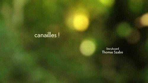 Minuscule: The Private Life of Insects Season 2 Episode 49 - Rascals!