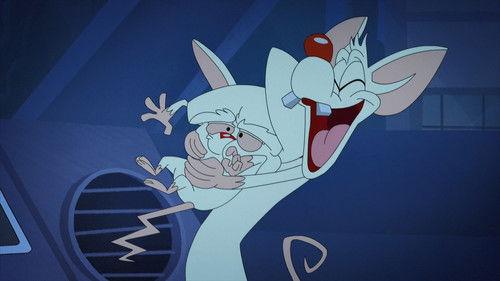 undefined Season 1 Episode 41 - Roadent Trip