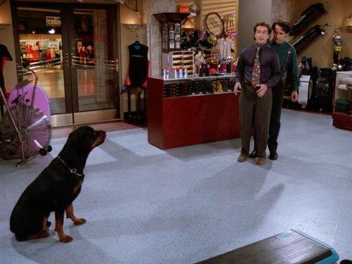 Perfect Strangers Season 8 Episode 2 - After Hours