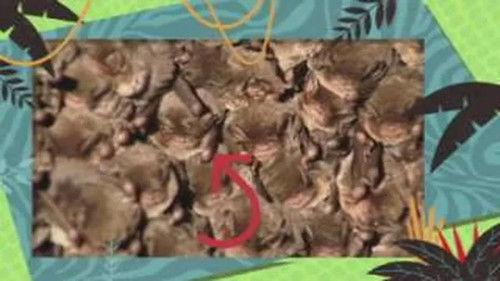 Kukurota Season 2 Episode 4 - Episode 4