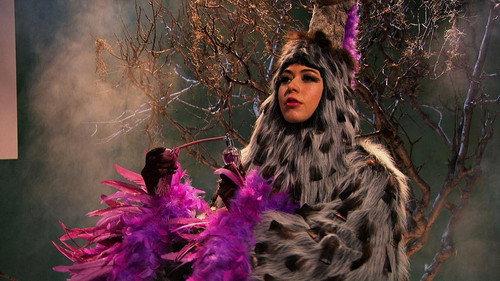 Austin & Ally Season 4 Episode 7 - Wedding Bells & Wacky Birds