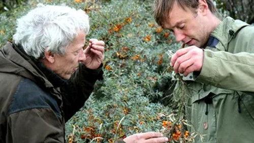 Kill & Eat Season 1 Episode 8 - Et krondyr ved Vester Thorup