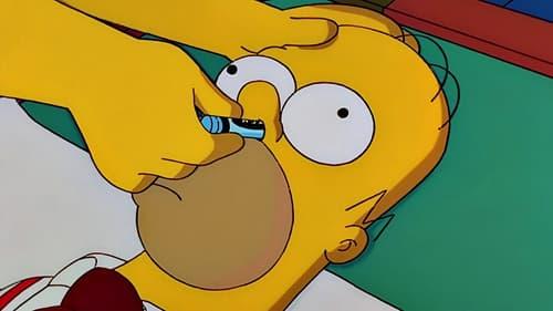The Simpsons Season 12 Episode 9 - HOMЯ