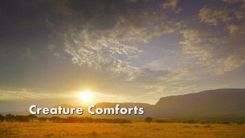 Amazing Animal Friends Season 1 Episode 5 - Creature Comforts