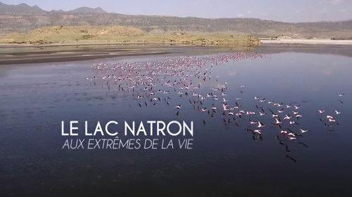 Secret Life of Lakes Season 2 Episode 5 - Episode 5