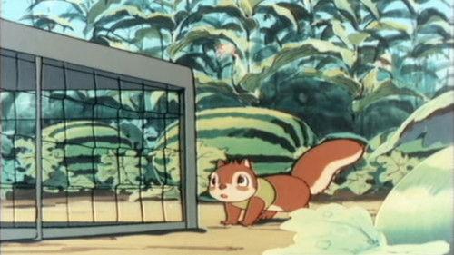 Bannertail: The Story of Gray Squirrel Season 1 Episode 7 - Clay Runs Away