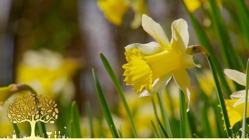 Gardeners' World Season 54 Episode 3 - Episode 3 - Easter Special