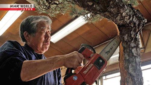 FRONTRUNNERS Season 2 Episode 16 - Bonsai Master - Kobayashi Kunio