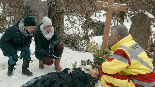 K11 - Die neuen Fälle Season 2 Episode 21 - The black ghost man