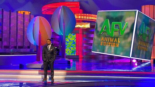 America's Funniest Home Videos: Animal Edition Season 1 Episode 11 - Pug Life