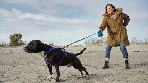 From bully to best friend Season 2 Episode 3 - Episode 3