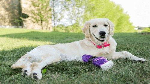 Background image for Marvel