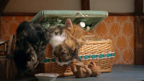 Poesjes Season 2 Episode 5 - Episode 5