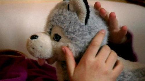 Was ist Was TV Season 2 Episode 1 - Dogs