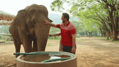 Background image for Love & Elephants Part 2