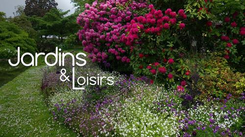 Jardins & Loisirs Season 25 Episode 23 - Episode 23