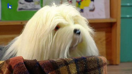 Samson & Gert Season 15 Episode 10 - Commissaris Van Leemhuyzen