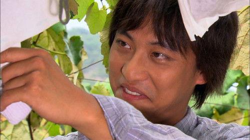 The Vineyard Man Season 1 Episode 11 - The Vineyard Man Episode 11