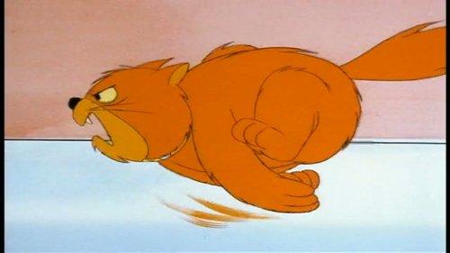 Background image for Scooby's Desert Dilemma / The Rare Scare / The Old Cat and Mouse Game / Kitty Sitter / Stowaways / One of Our Aircraft Carriers is Missing