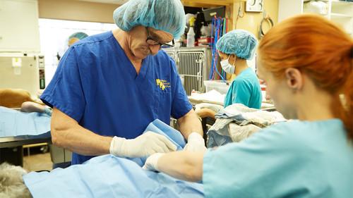 Dr. Jeff: Rocky Mountain Vet Season 1 Episode 1 - One More Chance