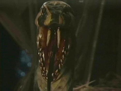 undefined Season 20 Episode 8 - Snakedance (4)