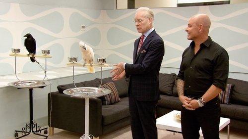 Project Runway Season 9 Episode 11 - This Is for the Birds