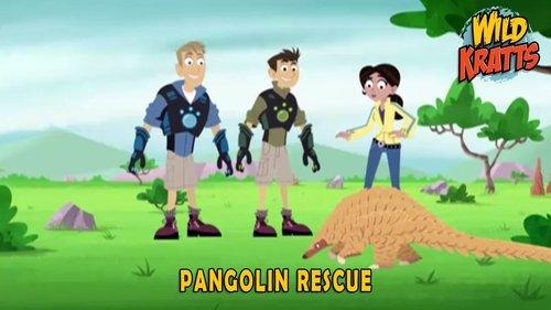 Wild Kratts Season 4 Episode 9 - Pangolin Rescue