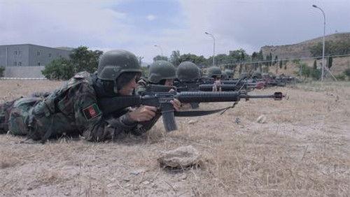 Telefacts Zomer Season 2 Episode 1 - Episode 1