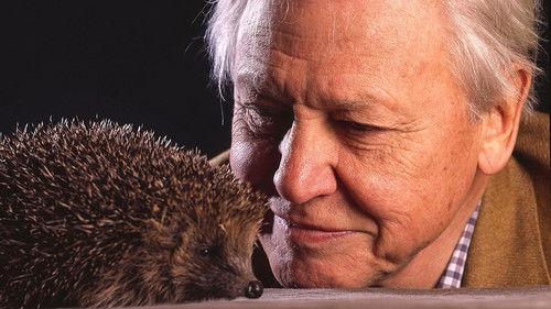 The Life of Mammals Season 1 Episode 8 - Life in the Trees