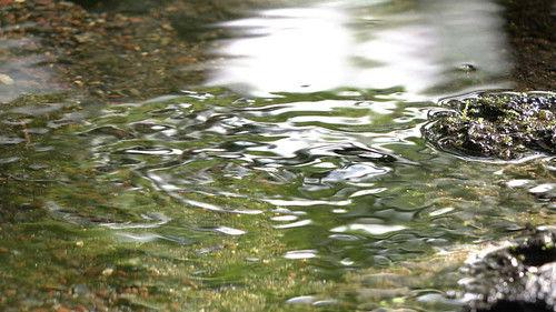 Magical Japanese Season 1 Episode 5 - Water