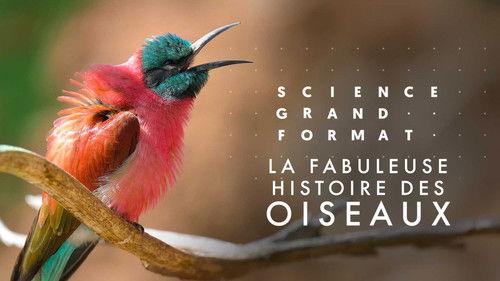 Science grand format Season 9 Episode 16 - Episode 16