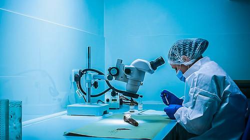 Background image for Time of Death