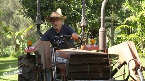 Willkommen bei den Reimanns Season 1 Episode 4 - Episode 4