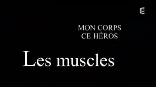 Human Body: Pushing the Limits Season 1 Episode 3 - Sensation