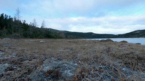 Alone: Frozen Season 1 Episode 5 - Outfoxed