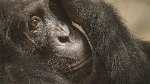 undefined Season 1 Episode 1 - Earth