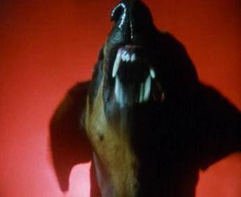 Background image for The Pretender