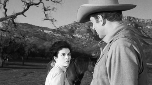 undefined Season 7 Episode 23 - Reprisal